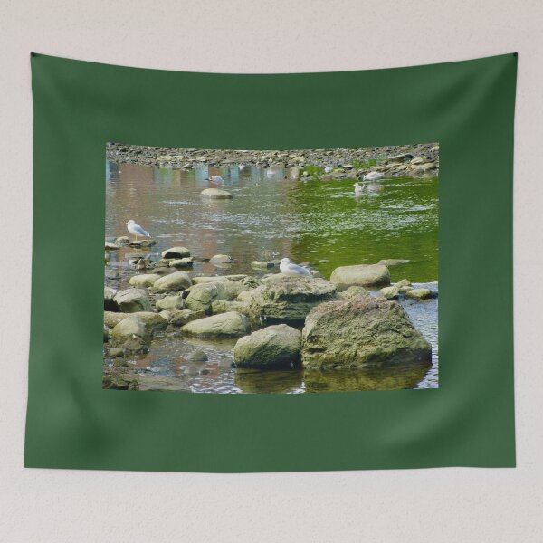 Item preview, Seagulls on the rocks designed and sold by Shulie1.