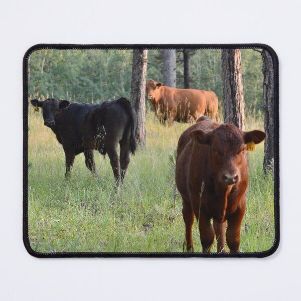 Item preview, Hello Cows!! designed and sold by lisapicklepizza.