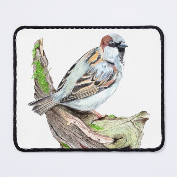 Item preview, Male sparrow designed and sold by bearruski.