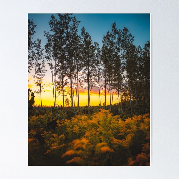 Item preview, Sunrise with trees designed and sold by sajith99.