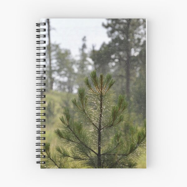 Item preview, Light Rain in the Pines designed and sold by lisapicklepizza.