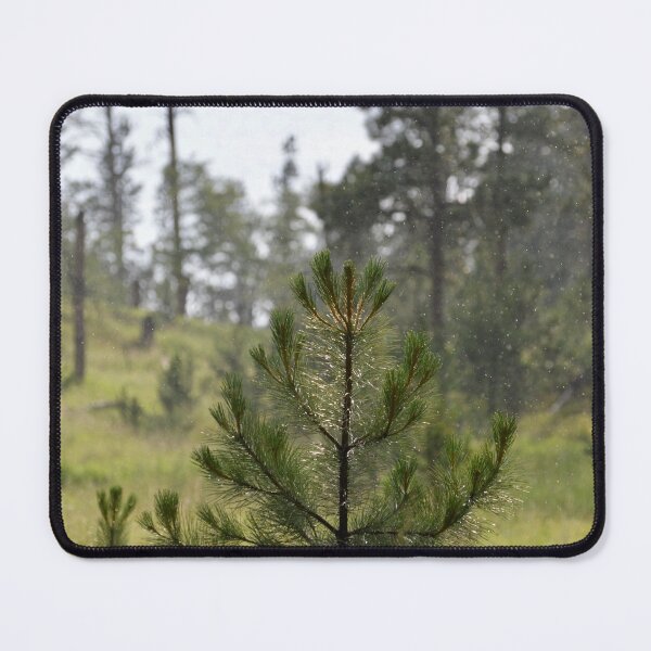 Item preview, Light Rain in the Pines designed and sold by lisapicklepizza.