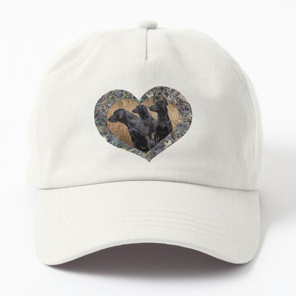 birddogs dad hat