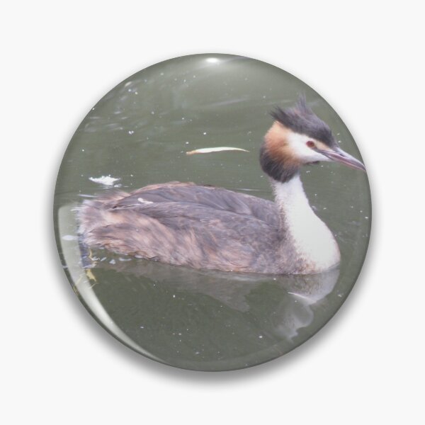 Item preview, Great Crested Grebe Photograph designed and sold by naturegallery.