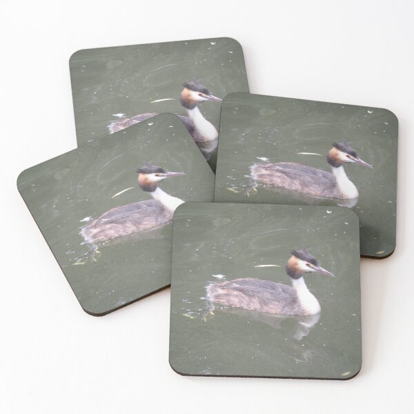 Item preview, Great Crested Grebe Photograph designed and sold by naturegallery.