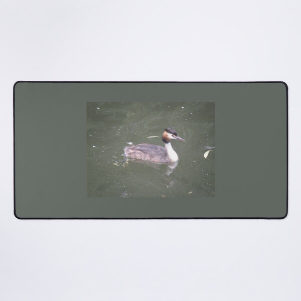 Item preview, Great Crested Grebe Photograph designed and sold by naturegallery.