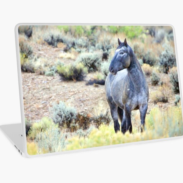 The Watchful Eye - Wild Blue Roan Stallion Laptop Skin