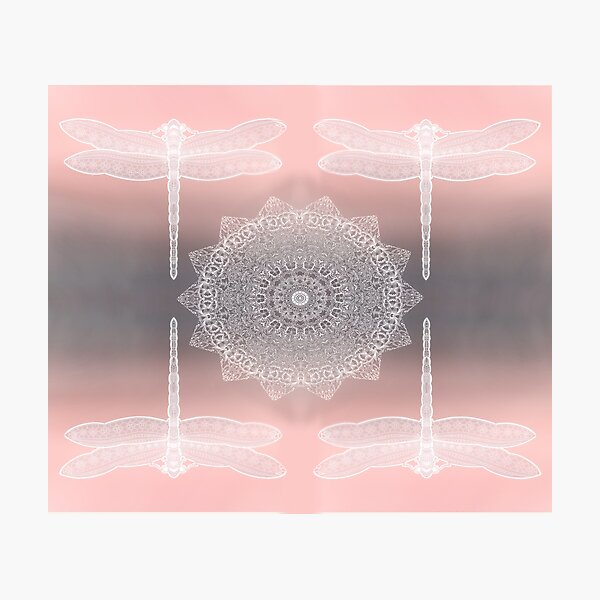 Fall Boho Madala Dragonflies Photographic Print