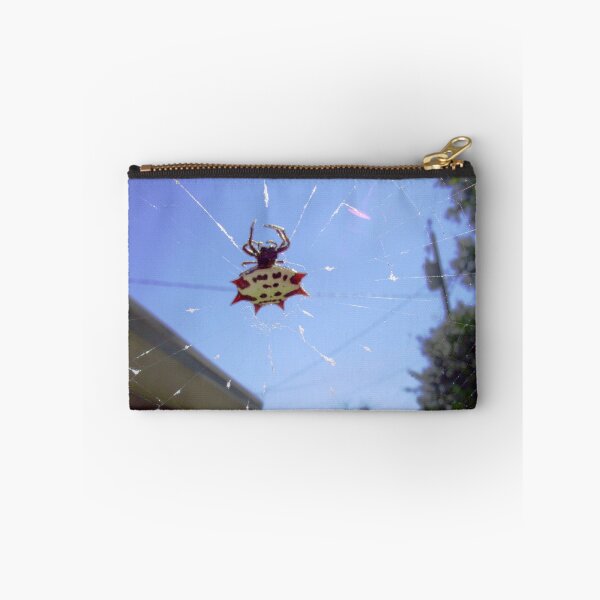 Item preview, Spinybacked Orbweaver designed and sold by Ginny Schmidt.