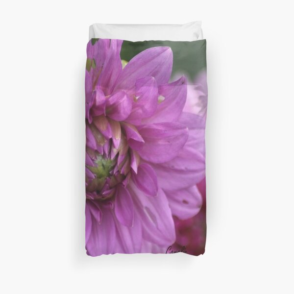 Soft Color of the Dahlia Flowers Duvet Cover