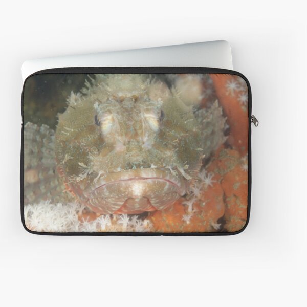 Red Rock Cod Laptop Sleeve