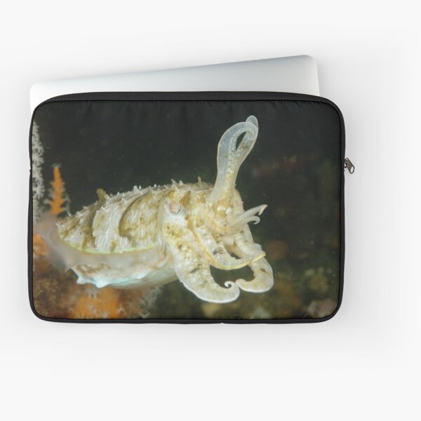 Mourning Cuttlefish - Sepia plangon Laptop Sleeve