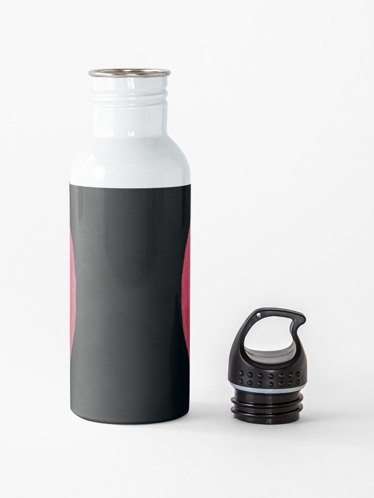 Alternate view of M.I. #119 |☽| Similar Differences Water Bottle