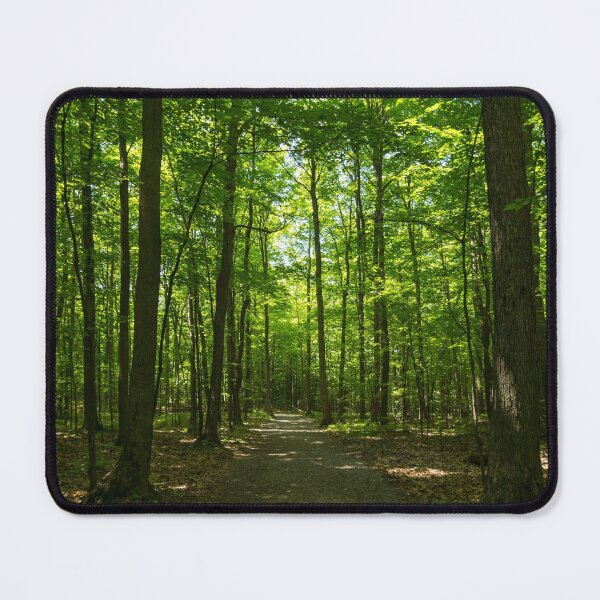 Item preview, Forest Bathing - Midsummer Walk on a Calming Sun Dappled Path designed and sold by Georgia Mizuleva.
