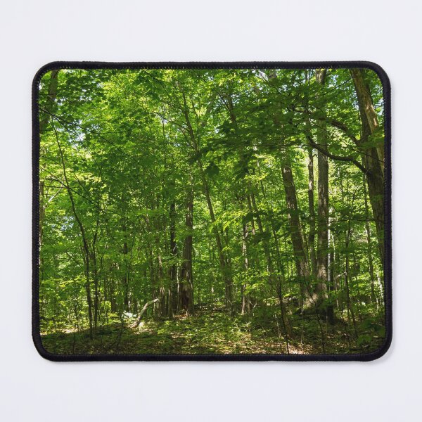 Item preview, Forest Bathing - Summer Walk Through a Small Sun Dappled Glade designed and sold by Georgia Mizuleva.