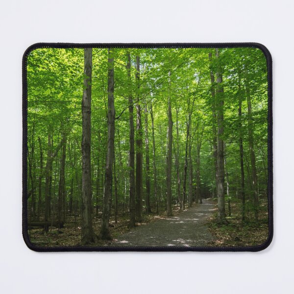 Item preview, Forest Bathing - Summertime Walk on a Calming Shady Path designed and sold by Georgia Mizuleva.