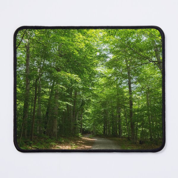 Item preview, Forest Bathing - Summertime Walk on a Calming Sun Dappled Path designed and sold by Georgia Mizuleva.