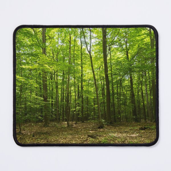 Item preview, Forest Bathing - Walking Through a Summery Sun Dappled Glade designed and sold by Georgia Mizuleva.