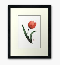 Tulipan Framed Print