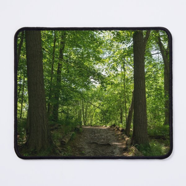 Item preview, Forest Bathing - Woodland Path for a Healing Immersion in Nature designed and sold by Georgia Mizuleva.