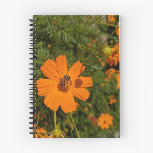 Item preview, Bumblebee on orange flower designed and sold by iloveplantsalot.