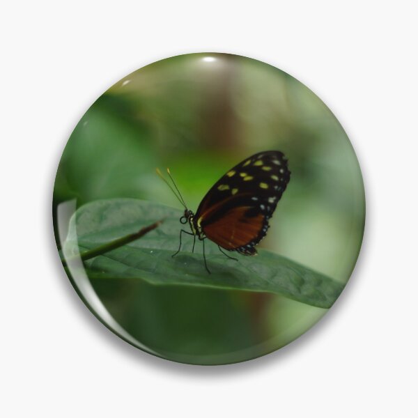 Item preview, mariposa en una hoja designed and sold by KandLDesigns9226.