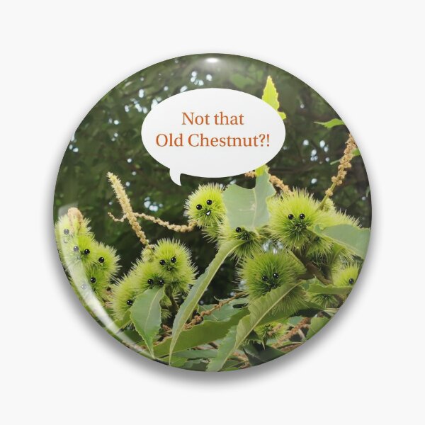 Item preview, Not that Old Chestnut?! designed and sold by Bumpulous.