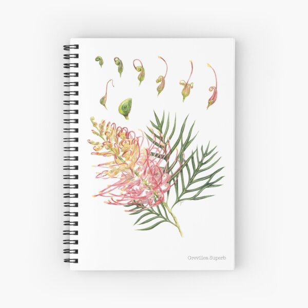 Item preview, Grevillea Superb designed and sold by LilEbsArt.