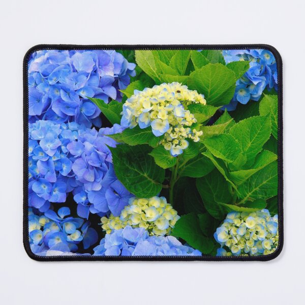 Item preview, Hydrangeas designed and sold by Gaspar Avila.
