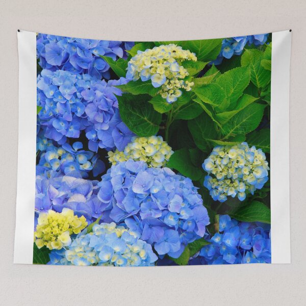 Item preview, Hydrangeas designed and sold by Gaspar Avila.