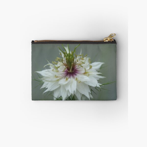 Item preview, Nigella sativa  designed and sold by andrachne.