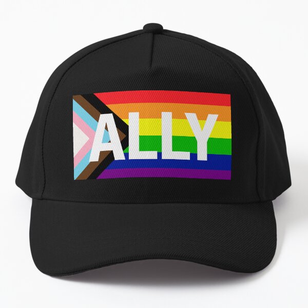 Aperçu de l'œuvre Drapeau de la fierté du progrès ALLY créée et vendue par NYXFN.