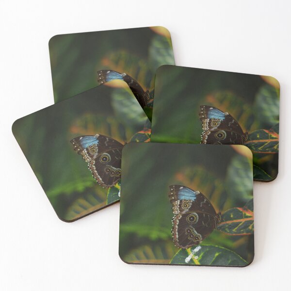 Item preview, butterfly in nature designed and sold by KandLDesigns9226.