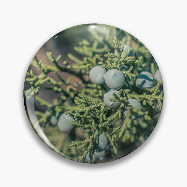 Item preview, Juniper Berries designed and sold by beenplanted.