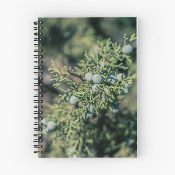 Item preview, Juniper Berries designed and sold by beenplanted.