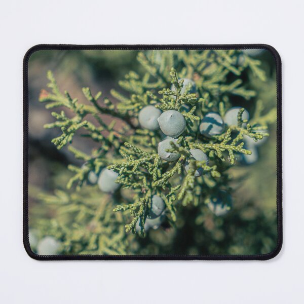 Item preview, Juniper Berries designed and sold by beenplanted.