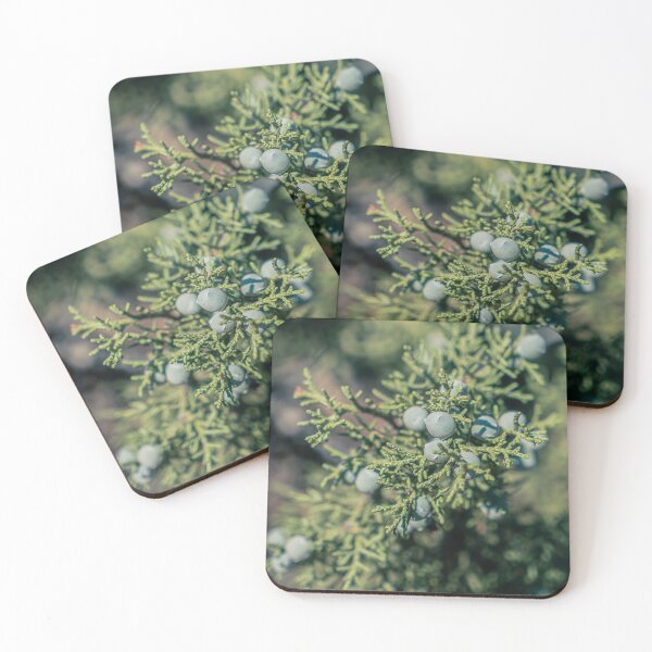 Item preview, Juniper Berries designed and sold by beenplanted.
