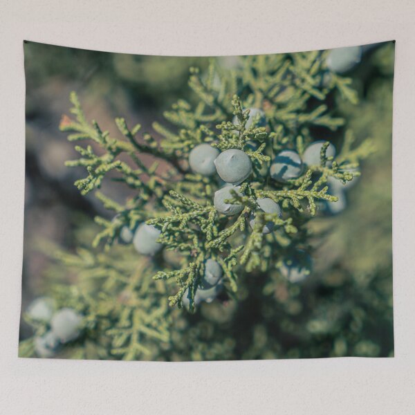 Item preview, Juniper Berries designed and sold by beenplanted.