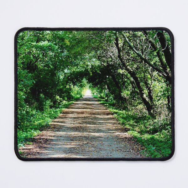 Item preview, Leafy Tunnel on the Glacial Drumlin State Trail designed and sold by Martha Sherman.