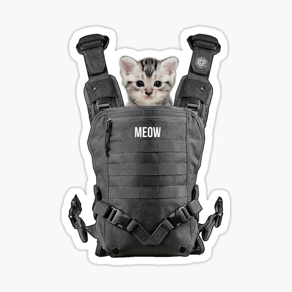 Cat in baby carrier shirt walmart best sale