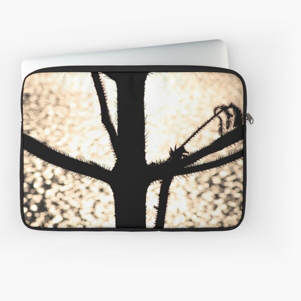 Item preview, Contrasting textures - Woody point designed and sold by GeoffSporne.