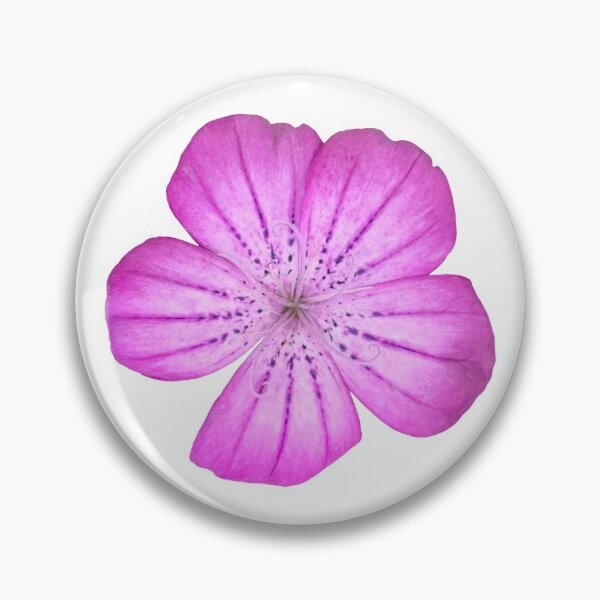Item preview, Purple Corncockle Flower Still Life Floral Photography designed and sold by CottoVerdi.