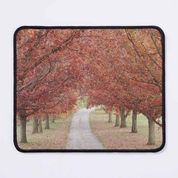 Item preview, Fall Trees Lining the Lane. designed and sold by Billlee.