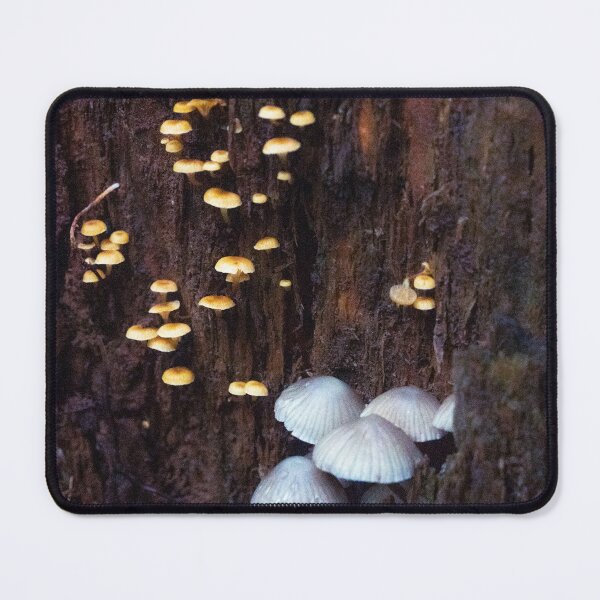 Item preview, trippy mushrooms in a log designed and sold by beenplanted.