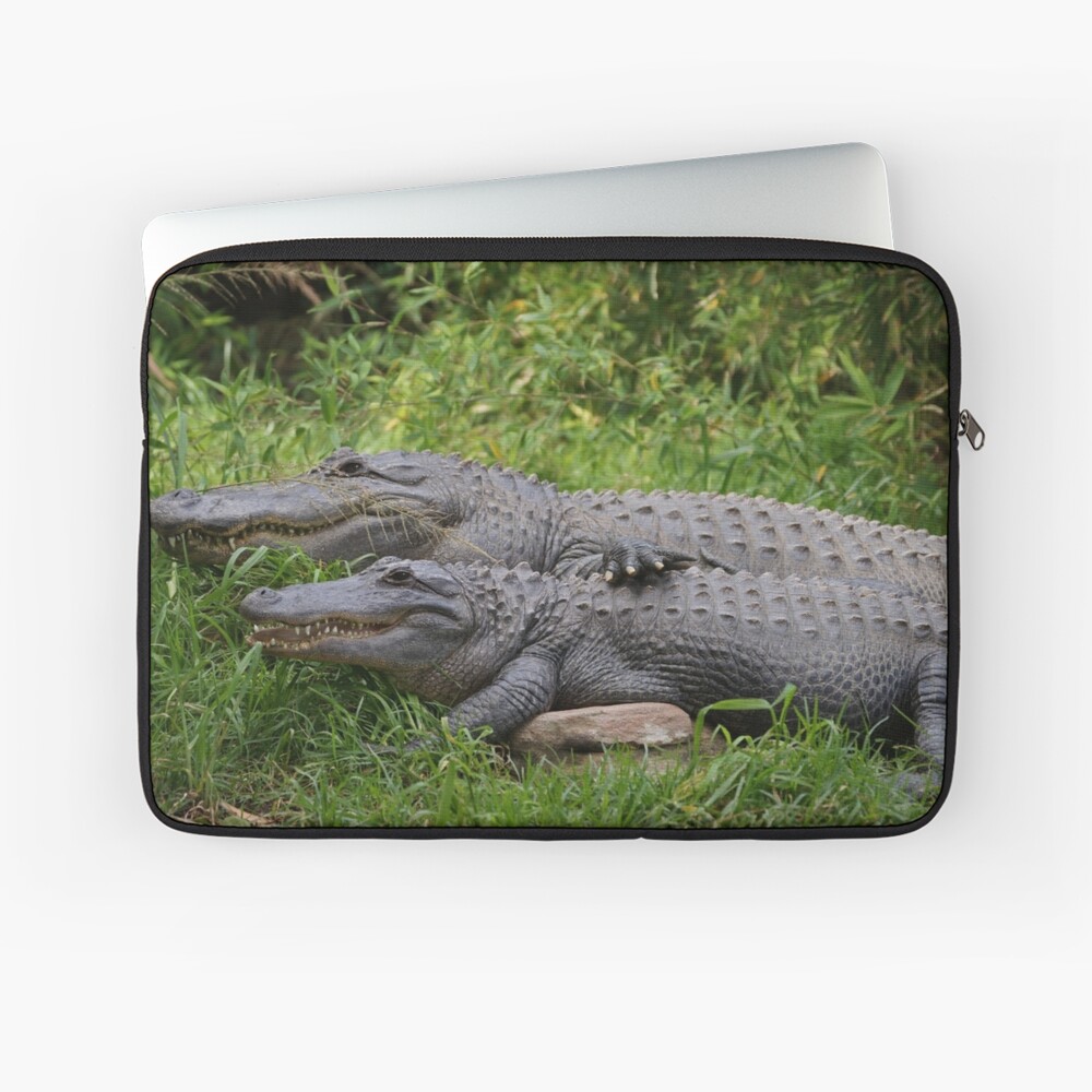 "alligator romance" Laptop Sleeve