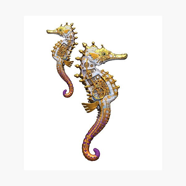 Seahorse Photographic Print