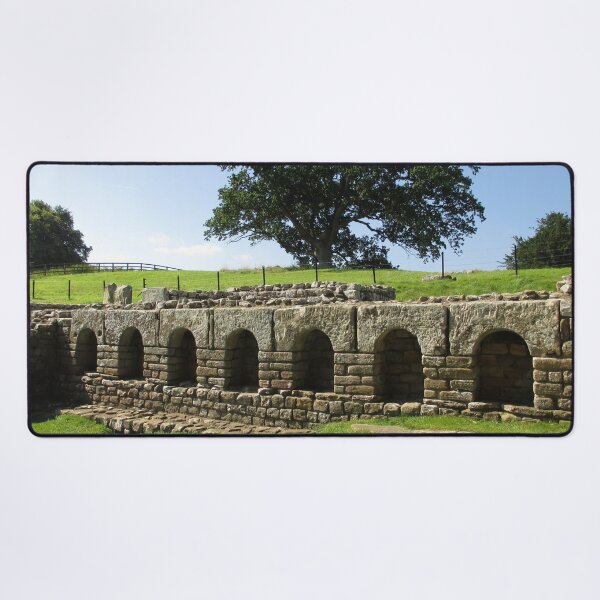 M.I. #113 |☼| The Changing Hall - Shot 2 (Hadrian's Wall) Desk Mat