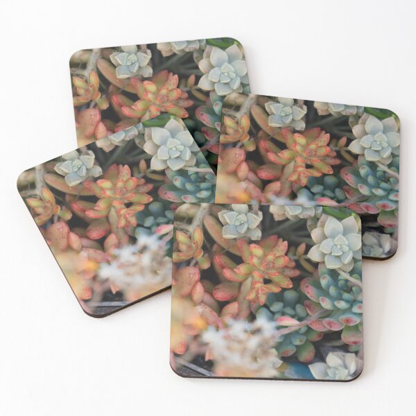 Item preview, bright succulents  designed and sold by beenplanted.