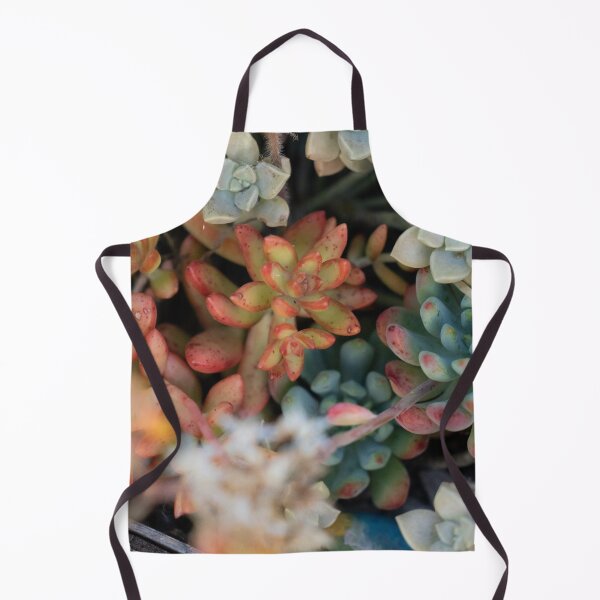 Item preview, bright succulents designed and sold by beenplanted.