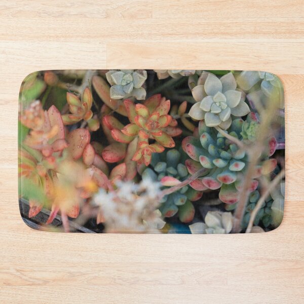 Item preview, bright succulents  designed and sold by beenplanted.